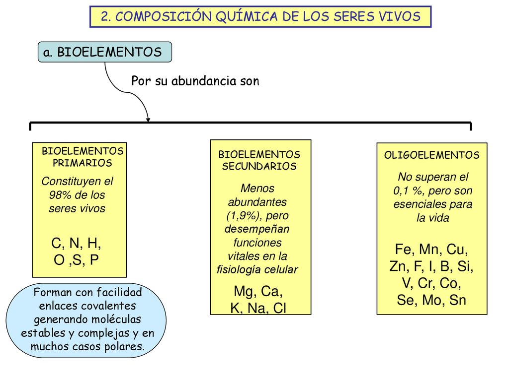 Fe, Mn, Cu, Zn, F, I, B, Si, V, Cr, Co, Se, Mo, Sn