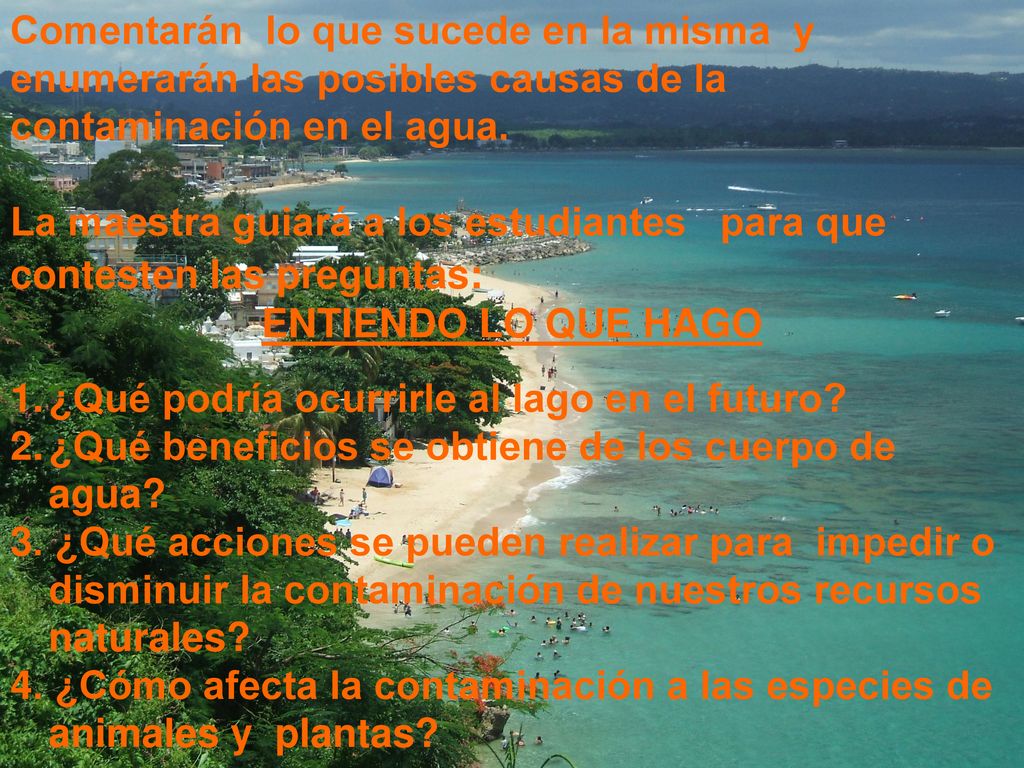 Comentarán lo que sucede en la misma y enumerarán las posibles causas de la contaminación en el agua.