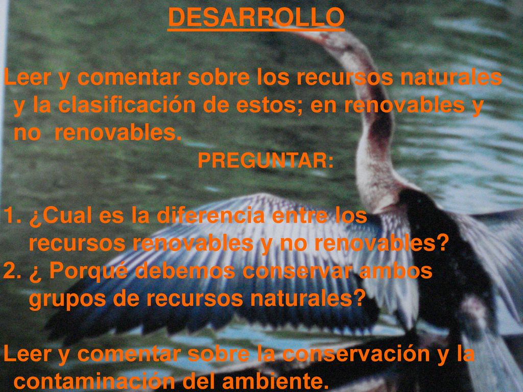 DESARROLLO Leer y comentar sobre los recursos naturales y la clasificación de estos; en renovables y no renovables.