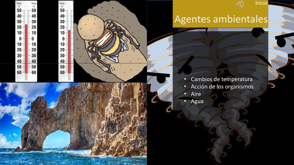 Agentes ambientales Cambios de temperatura Acción de los organismos