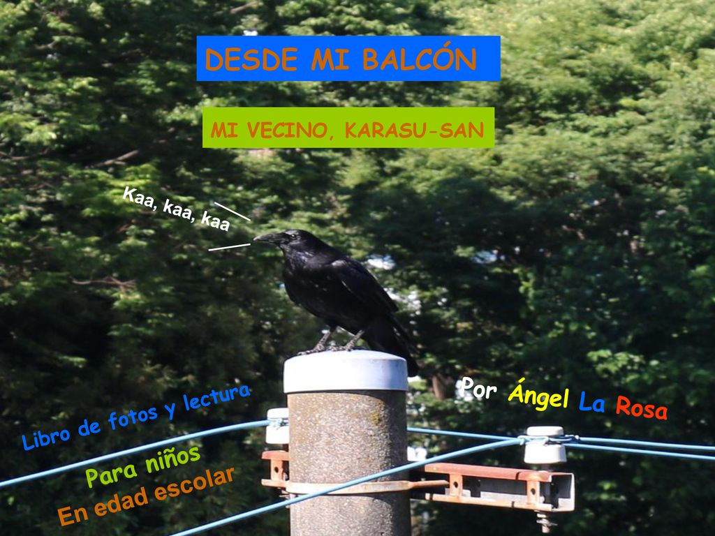 DESDE MI BALCÓN Por Ángel La Rosa Para niños En edad escolar