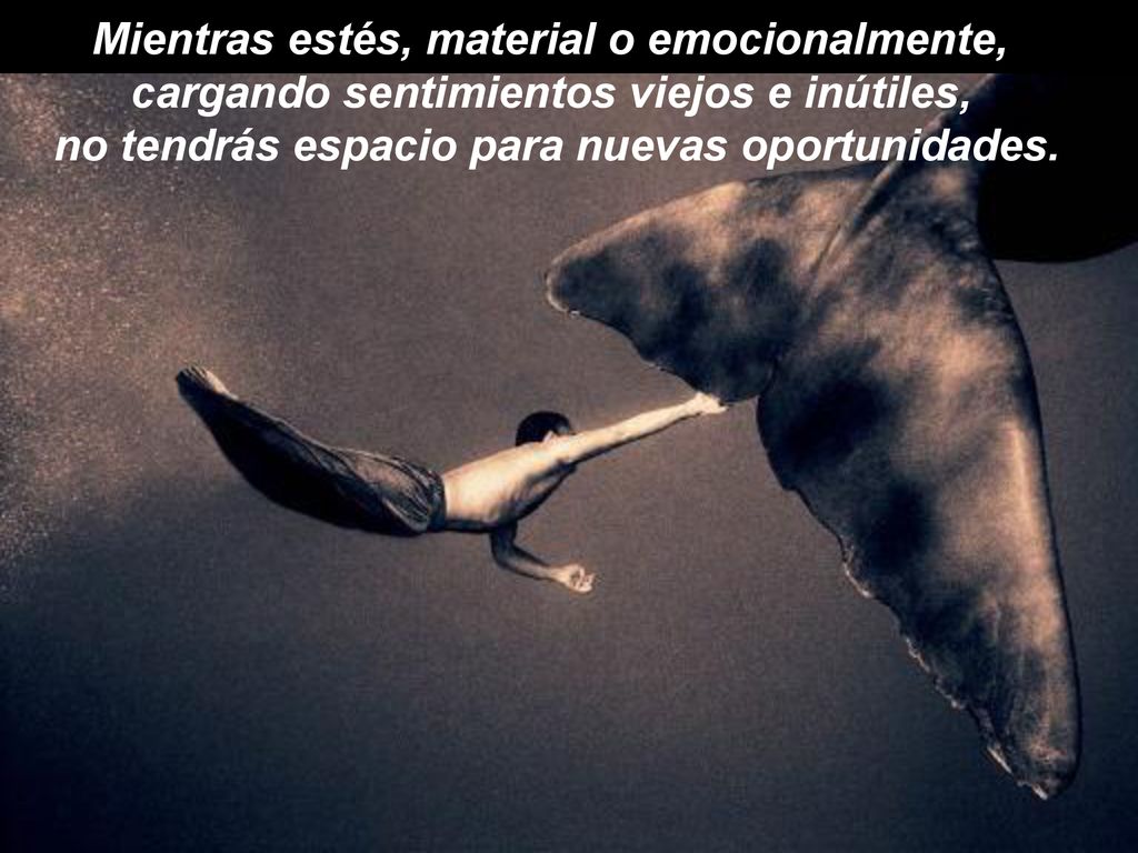 Mientras estés, material o emocionalmente, cargando sentimientos viejos e inútiles, no tendrás espacio para nuevas oportunidades.