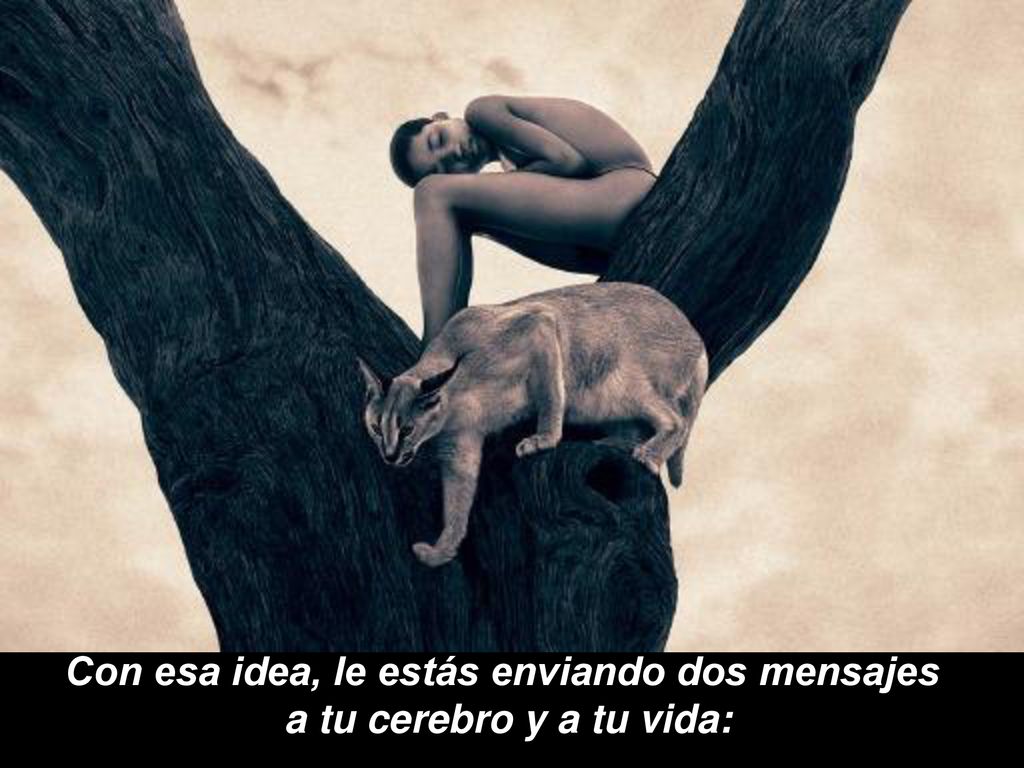 Con esa idea, le estás enviando dos mensajes a tu cerebro y a tu vida: