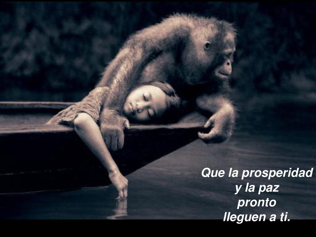 Que la prosperidad y la paz pronto lleguen a ti.