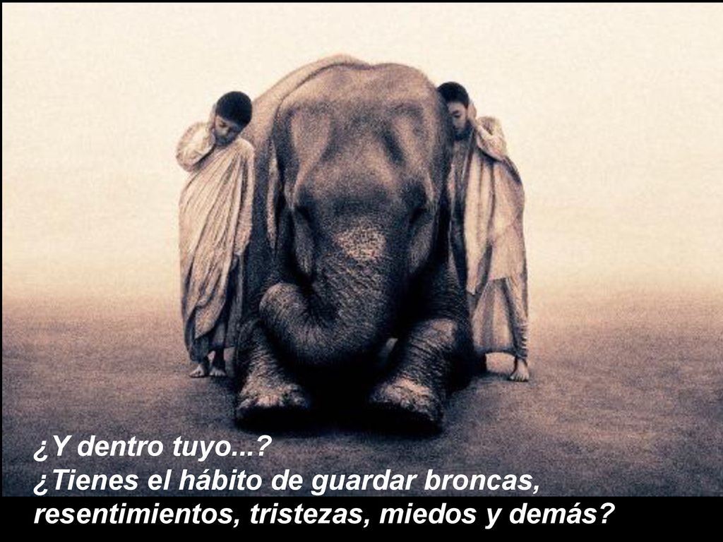 ¿Y dentro tuyo... ¿Tienes el hábito de guardar broncas, resentimientos, tristezas, miedos y demás