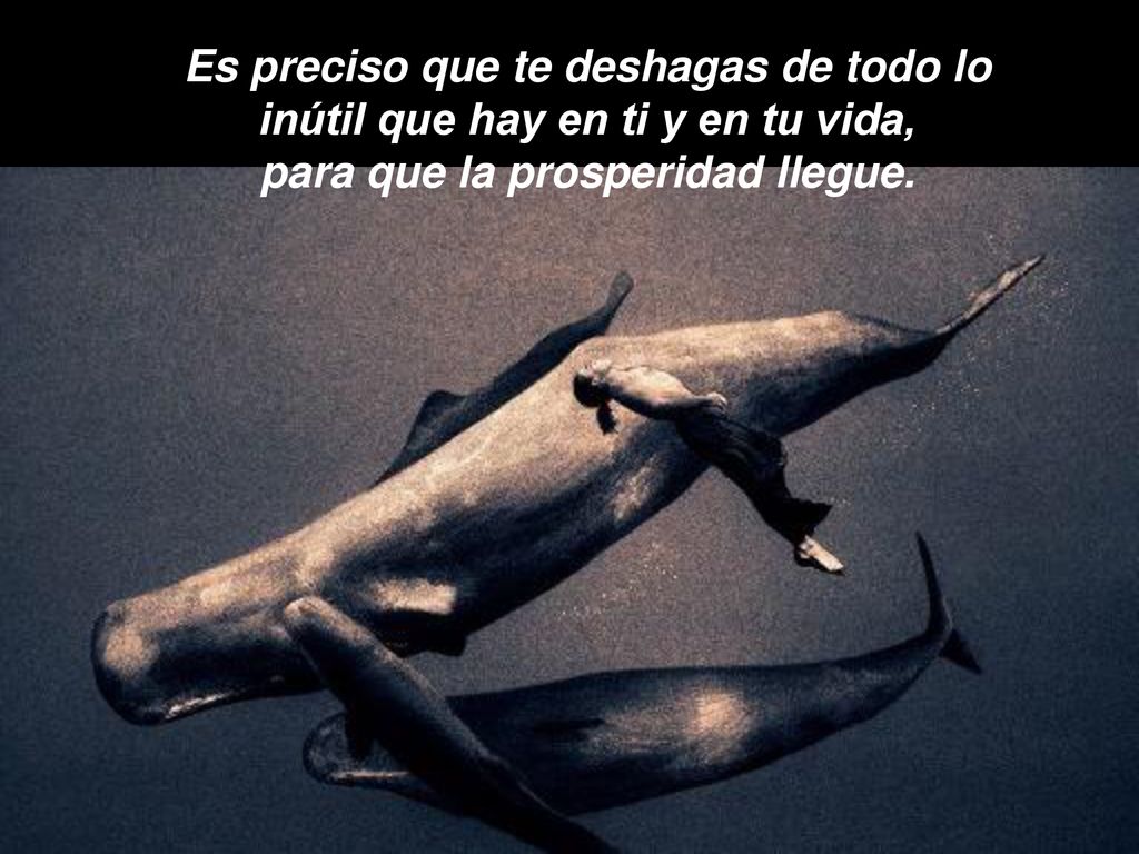 Es preciso que te deshagas de todo lo inútil que hay en ti y en tu vida, para que la prosperidad llegue.