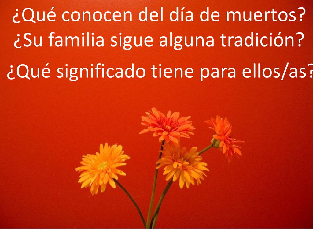 ¿Qué conocen del día de muertos ¿Su familia sigue alguna tradición
