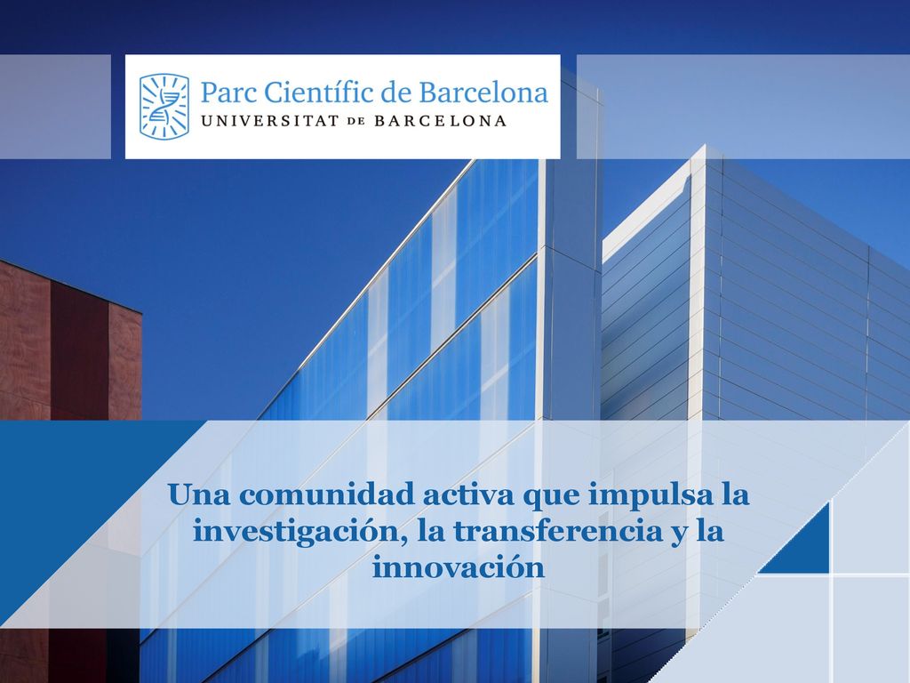 Una comunidad activa que impulsa la investigación, la transferencia y la innovación