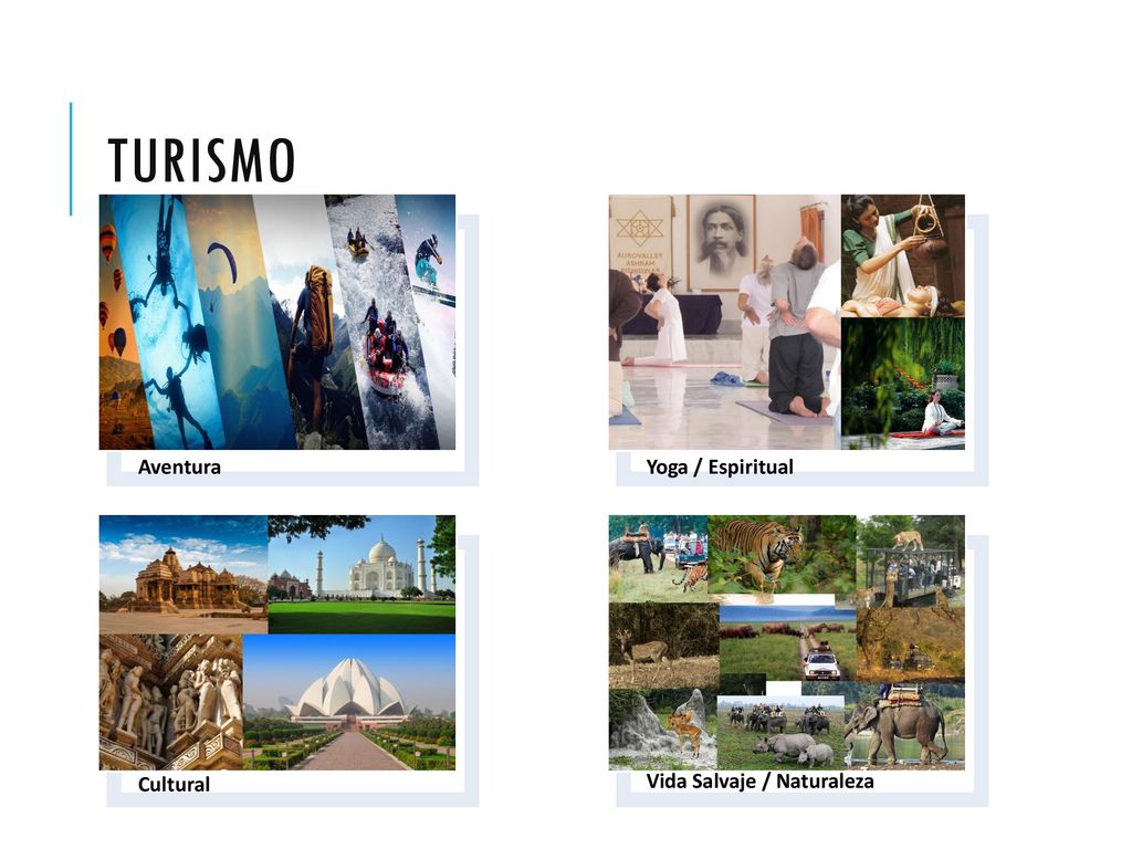 Turismo Aventura Cultural Yoga / Espiritual Vida Salvaje / Naturaleza