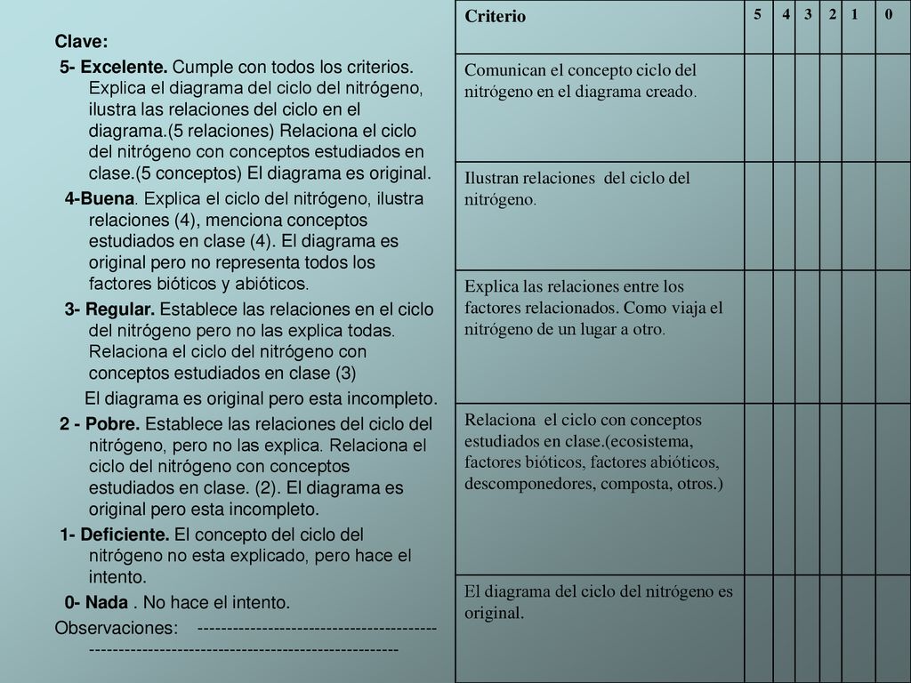 Comunican el concepto ciclo del nitrógeno en el diagrama creado.