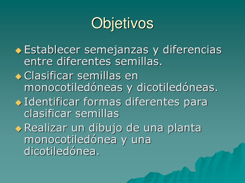 Objetivos Establecer semejanzas y diferencias entre diferentes semillas. Clasificar semillas en monocotiledóneas y dicotiledóneas.