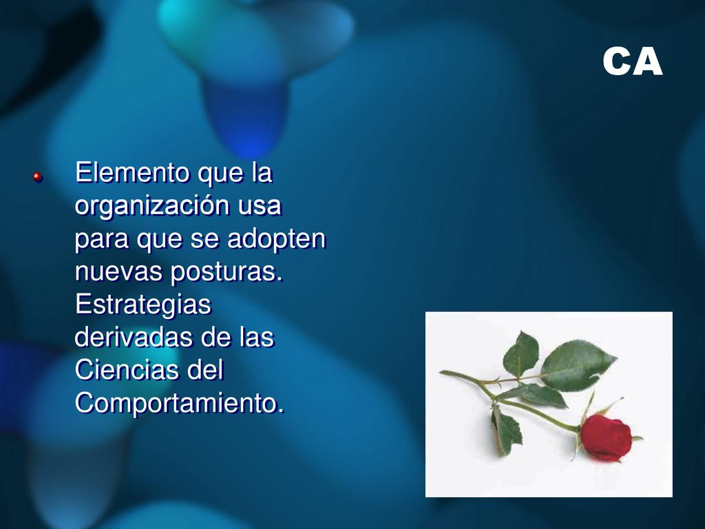 CA Elemento que la organización usa para que se adopten nuevas posturas.