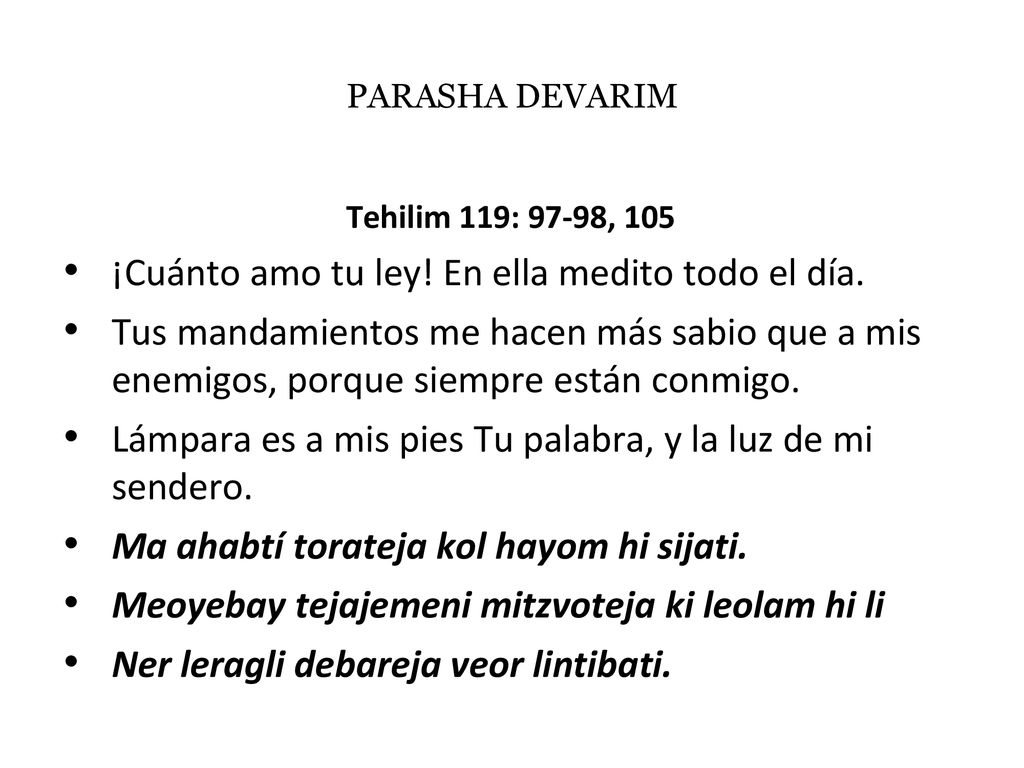 ¡Cuánto amo tu ley! En ella medito todo el día.