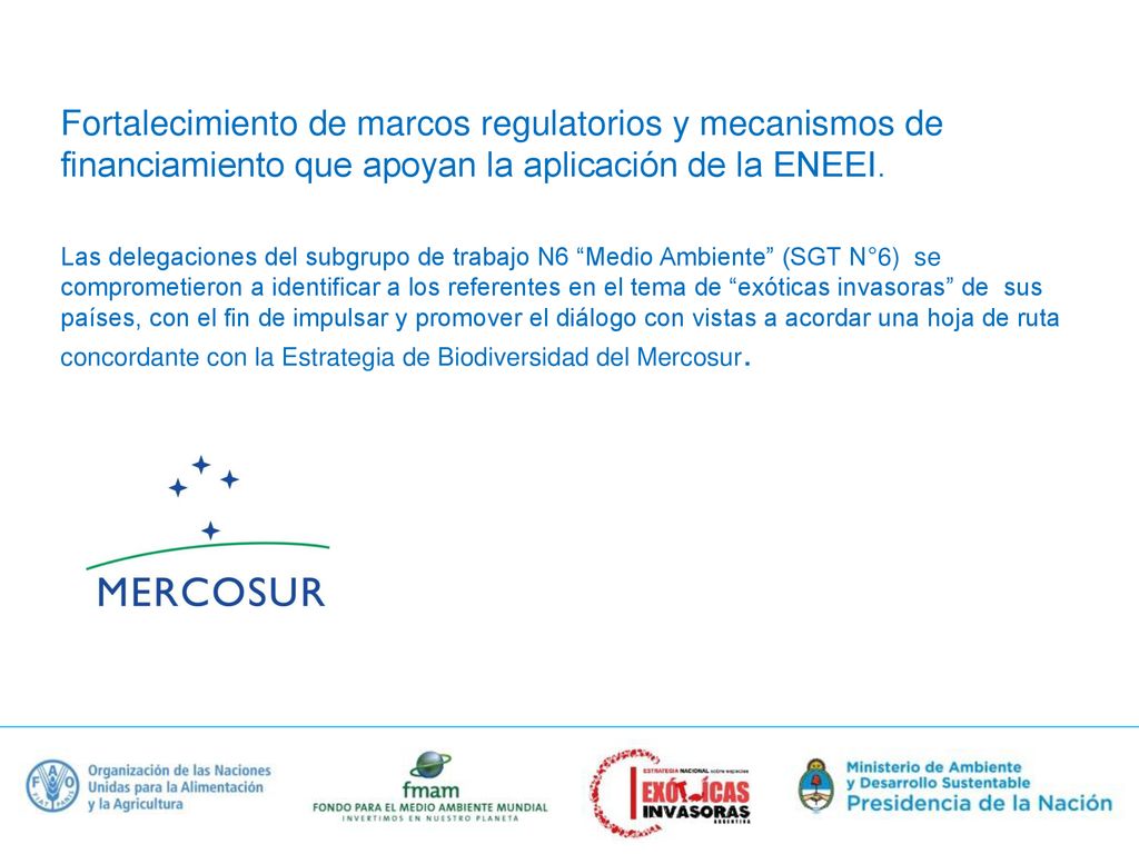 Fortalecimiento de marcos regulatorios y mecanismos de financiamiento que apoyan la aplicación de la ENEEI.