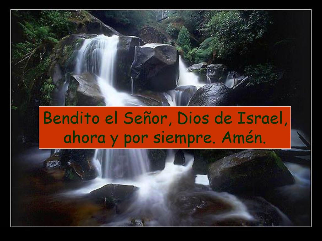 Bendito el Señor, Dios de Israel, ahora y por siempre. Amén.