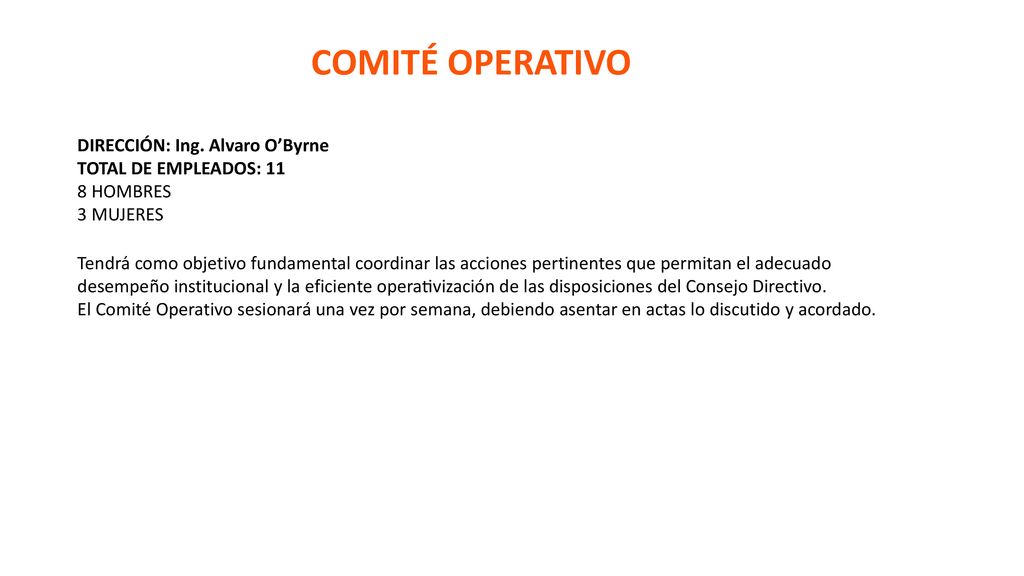 COMITÉ OPERATIVO DIRECCIÓN: Ing. Alvaro O’Byrne TOTAL DE EMPLEADOS: 11