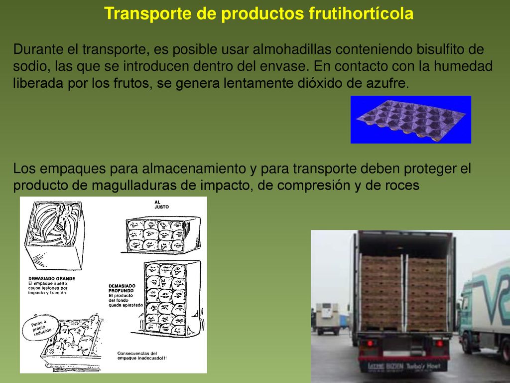 Transporte de productos frutihortícola