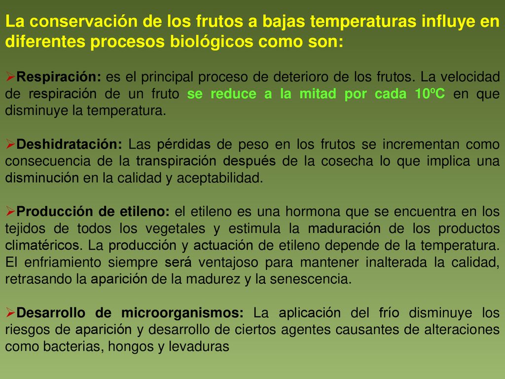 La conservación de los frutos a bajas temperaturas influye en diferentes procesos biológicos como son: