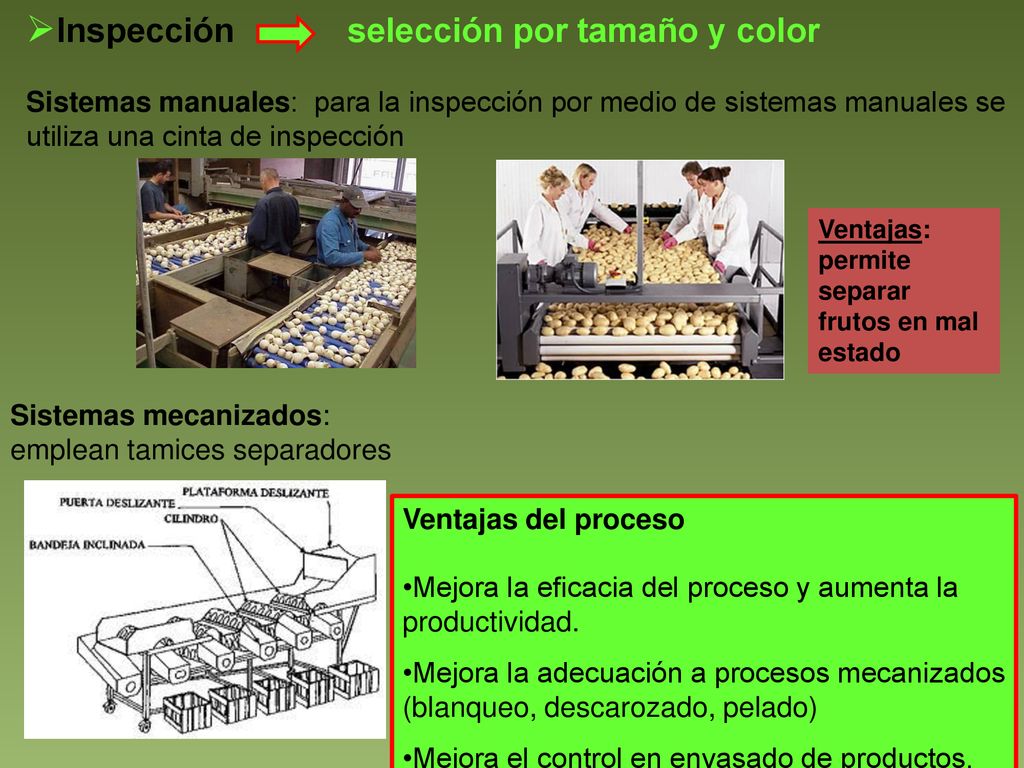 Inspección selección por tamaño y color