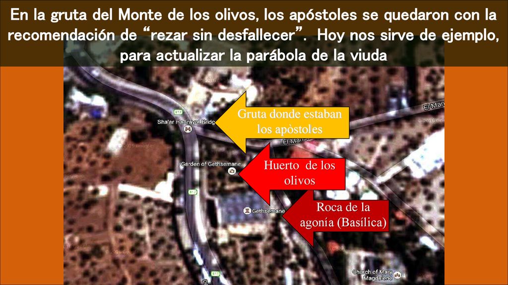 En la gruta del Monte de los olivos, los apóstoles se quedaron con la recomendación de rezar sin desfallecer . Hoy nos sirve de ejemplo, para actualizar la parábola de la viuda