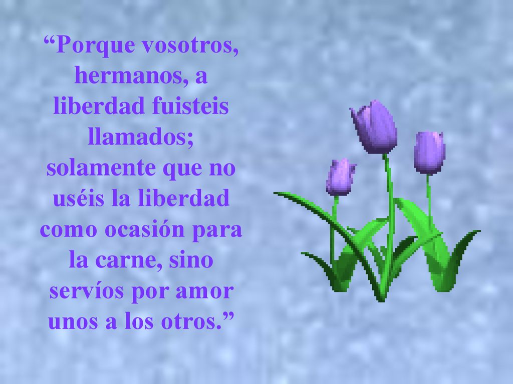 Porque vosotros, hermanos, a liberdad fuisteis llamados; solamente que no uséis la liberdad como ocasión para la carne, sino servíos por amor unos a los otros.