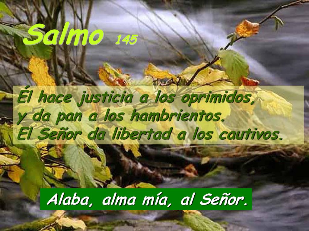 Salmo 145 Él hace justicia a los oprimidos, y da pan a los hambrientos. El Señor da libertad a los cautivos.