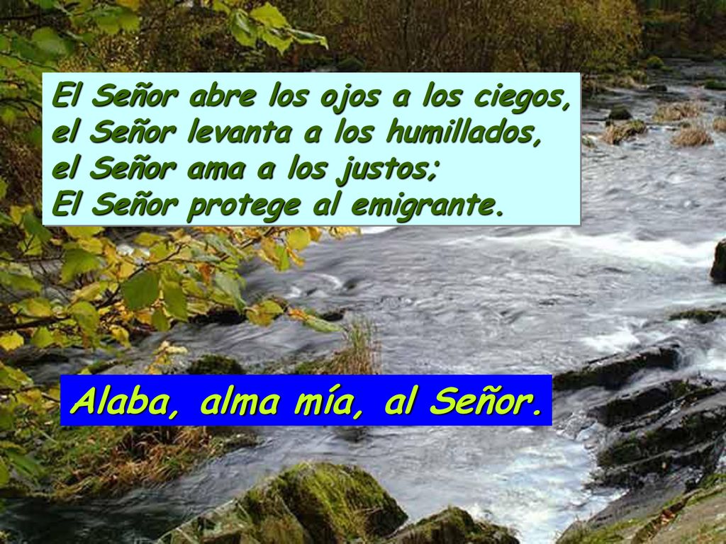 El Señor abre los ojos a los ciegos, el Señor levanta a los humillados, el Señor ama a los justos; El Señor protege al emigrante.