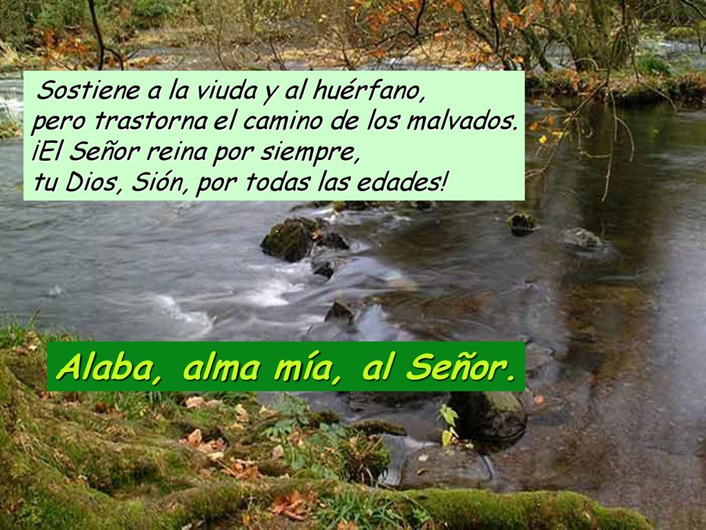 Sostiene a la viuda y al huérfano, pero trastorna el camino de los malvados. ¡El Señor reina por siempre, tu Dios, Sión, por todas las edades!