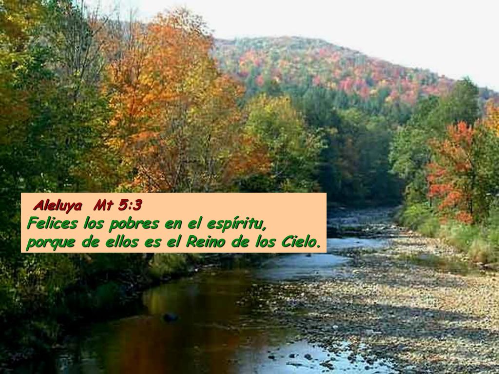 Aleluya Mt 5:3 Felices los pobres en el espíritu, porque de ellos es el Reino de los Cielo.