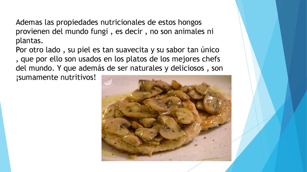 Ademas las propiedades nutricionales de estos hongos provienen del mundo fungi , es decir , no son animales ni plantas.