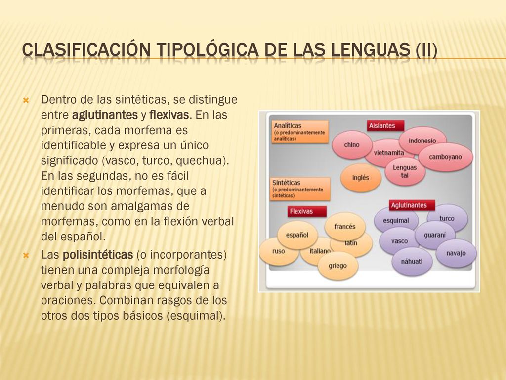 Clasificación tipológica de las lenguas (II)
