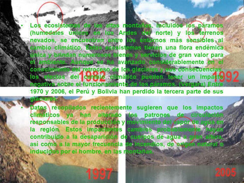 Los ecosistemas de las altas montañas, incluidos los páramos (humedales únicos en los Andes del norte) y los terrenos nevados, se encuentran entre los entornos más sensibles al cambio climático. Estos ecosistemas tienen una flora endémica única y brindan numerosos bienes y servicios de gran valor para el ambiente. Aunque se ha avanzado considerablemente en el conocimiento del retroceso de los glaciares y sus consecuencias, los efectos del cambio climático pueden tener un impacto negativo sobre el funcionamiento de los páramos. (Vergara) Entre 1970 y 2006, el Perú y Bolivia han perdido la tercera parte de sus glaciares.