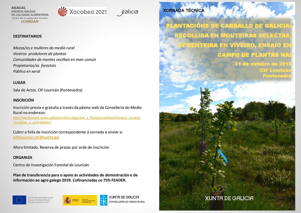 XORNADA TÉCNICA PLANTACIÓNS DE CARBALLO DE GALICIA: RECOLLIDA EN MOUTEIRAS SELECTAS, SEMENTEIRA EN VIVEIRO, ENSAIO EN CAMPO DE PLANTAS NAI.