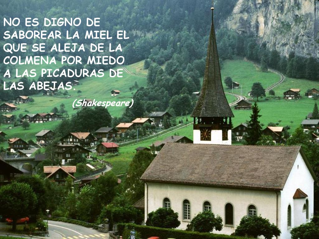 NO ES DIGNO DE SABOREAR LA MIEL EL QUE SE ALEJA DE LA COLMENA POR MIEDO A LAS PICADURAS DE LAS ABEJAS.