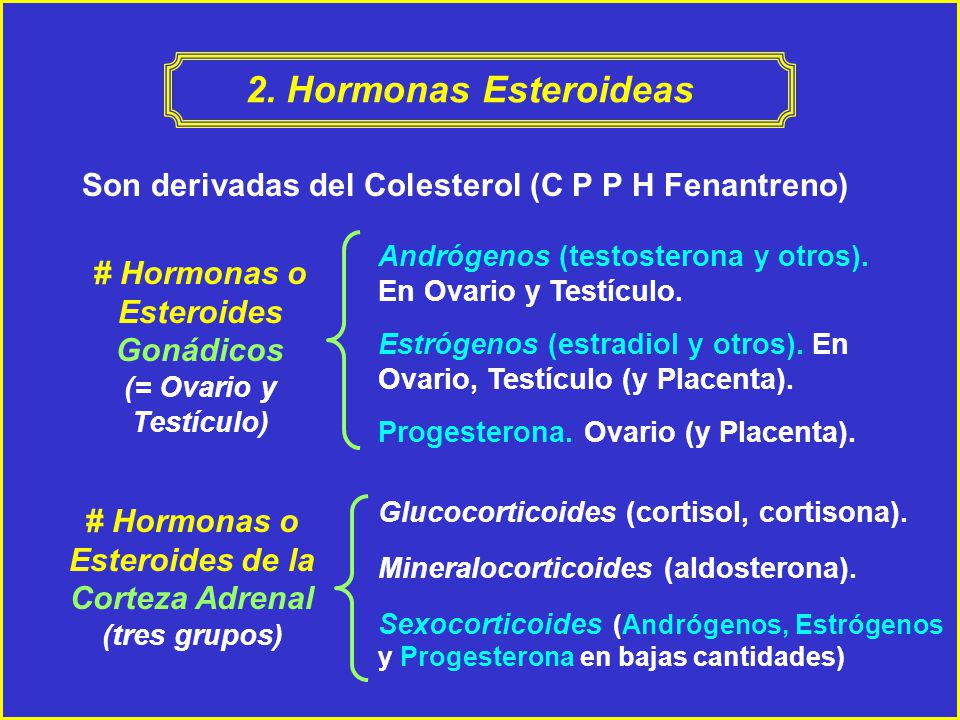 2. Hormonas Esteroideas Son derivadas del Colesterol (C P P H Fenantreno) # Hormonas o Esteroides Gonádicos (= Ovario y Testículo)