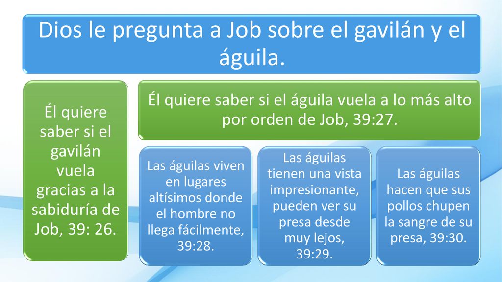 Dios le pregunta a Job sobre el gavilán y el águila.
