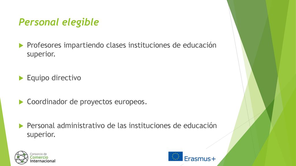 Personal elegible Profesores impartiendo clases instituciones de educación superior. Equipo directivo.