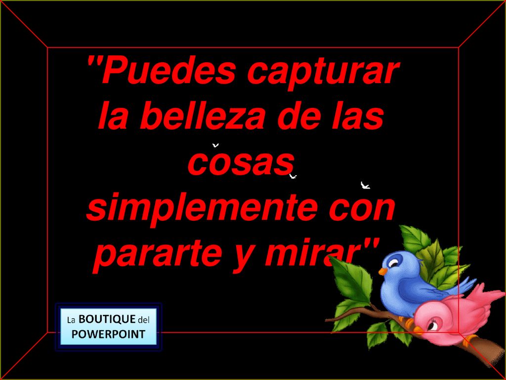 Puedes capturar la belleza de las cosas simplemente con pararte y mirar