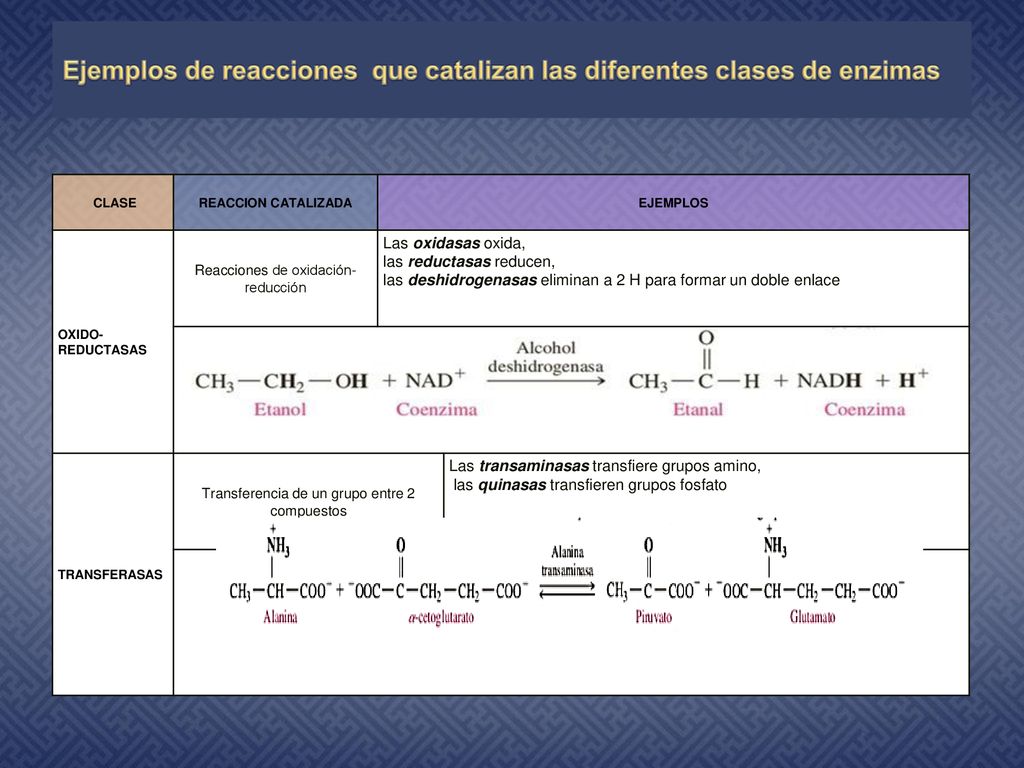 Ejemplos de reacciones que catalizan las diferentes clases de enzimas
