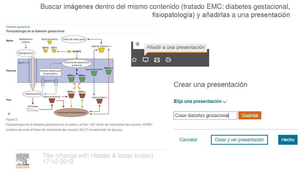 Buscar imágenes dentro del mismo contenido (tratado EMC: diabetes gestacional, fisiopatología) y añadirlas a una presentación