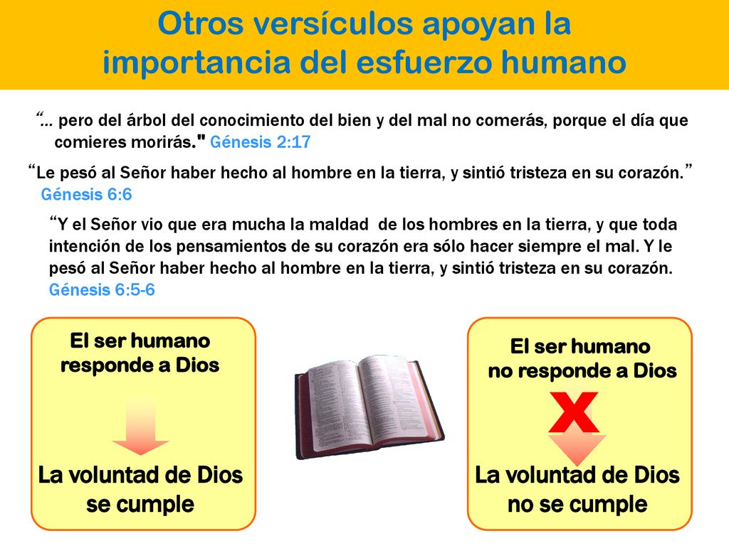 X Otros versículos apoyan la importancia del esfuerzo humano