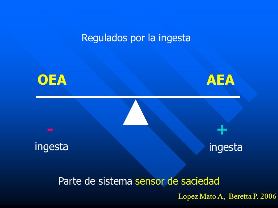 - + OEA AEA ingesta ingesta Regulados por la ingesta