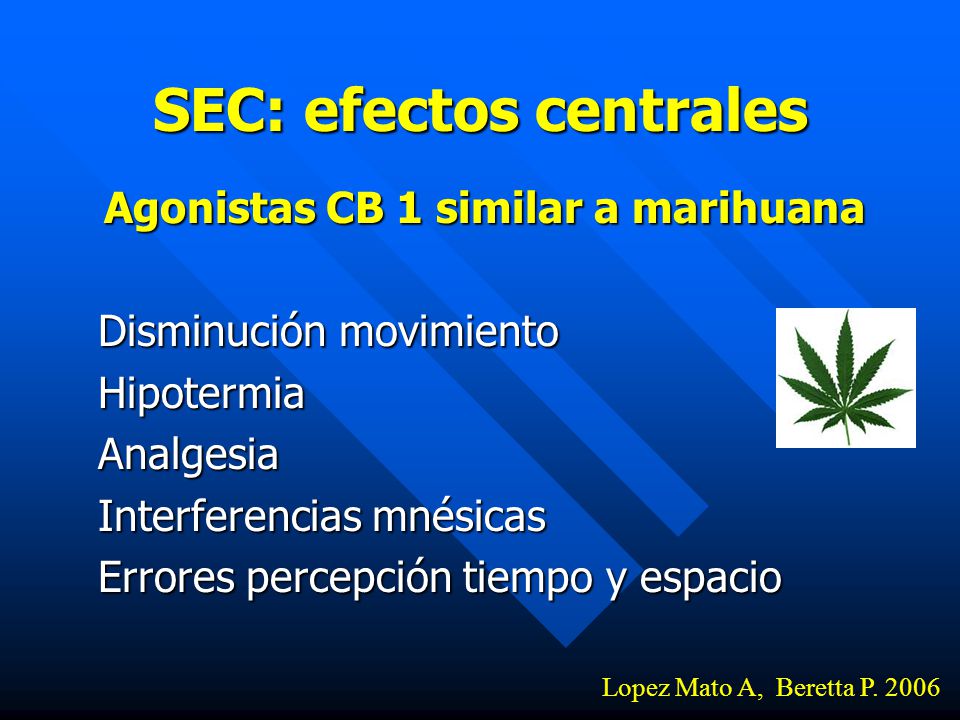 SEC: efectos centrales