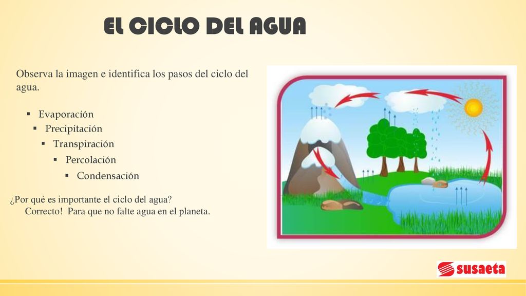 EL CICLO DEL AGUA Observa la imagen e identifica los pasos del ciclo del agua. Evaporación. Precipitación.