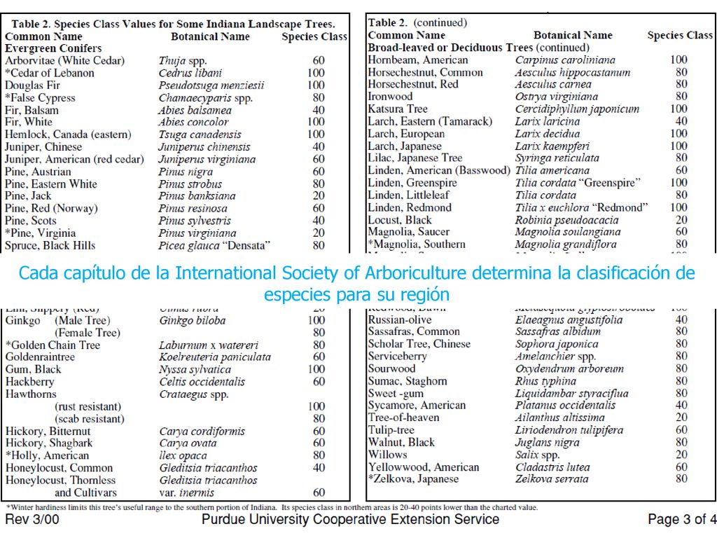 Cada capítulo de la International Society of Arboriculture determina la clasificación de especies para su región