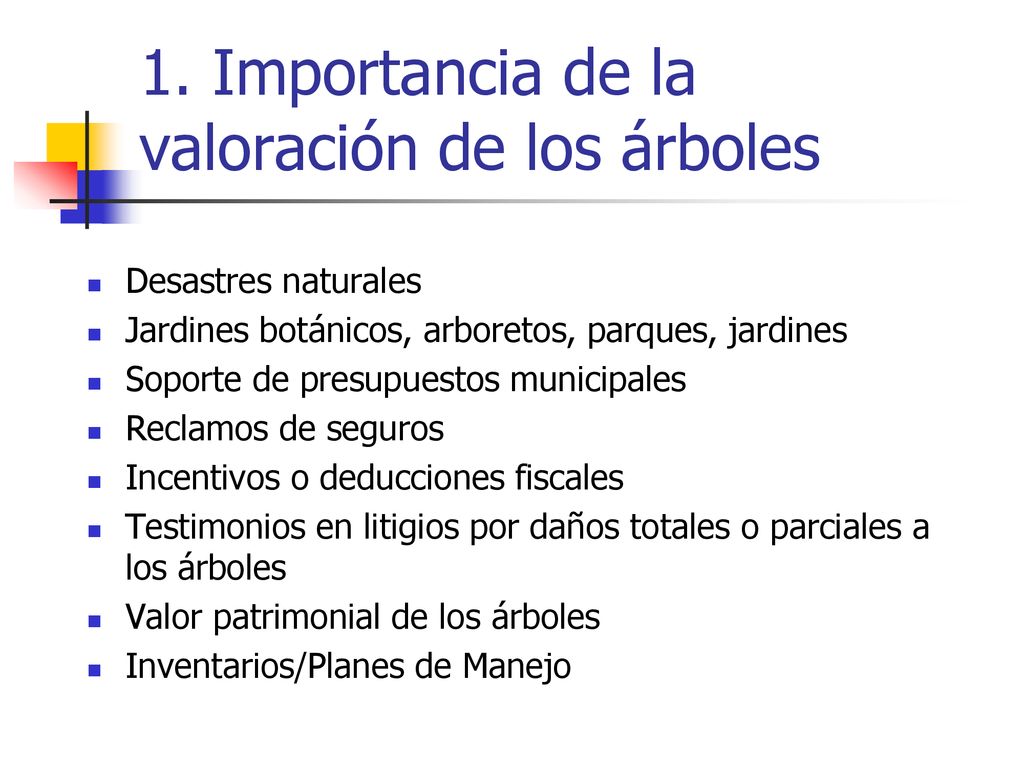 1. Importancia de la valoración de los árboles