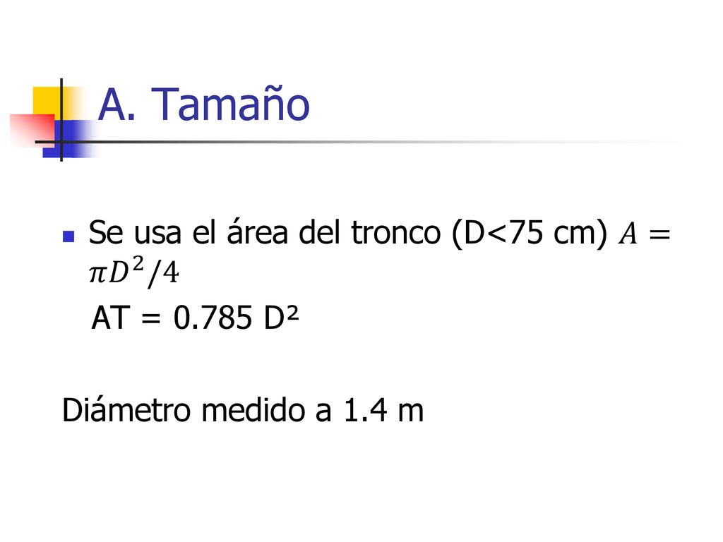 A. Tamaño Se usa el área del tronco (D<75 cm) 𝐴=𝜋 𝐷 2 /4
