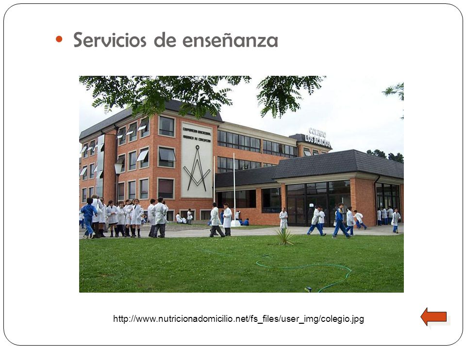 Servicios de enseñanza
