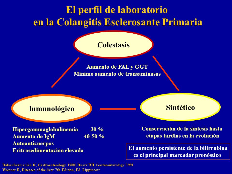 El perfil de laboratorio en la Colangitis Esclerosante Primaria
