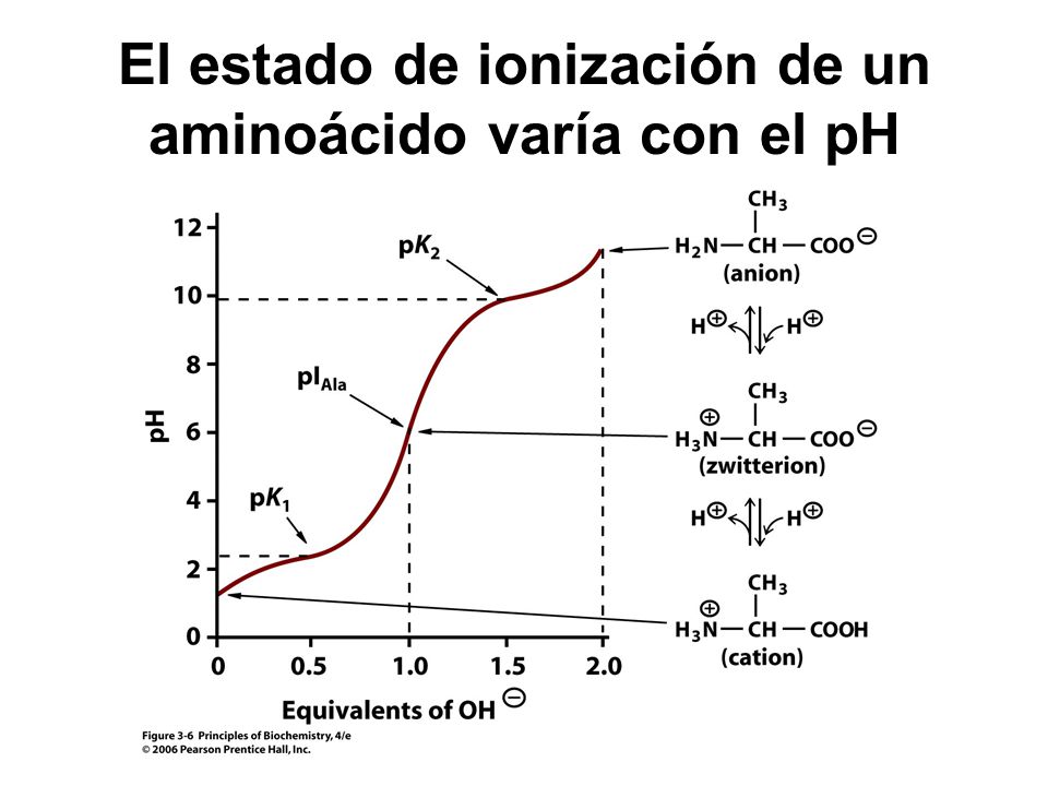 El estado de ionización de un aminoácido varía con el pH